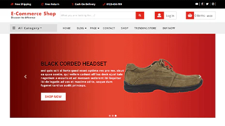 Ecommerce WordPress Theme