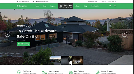 Bidding WordPress Theme